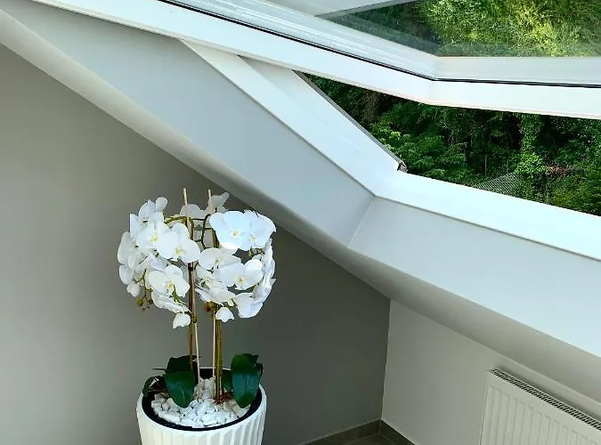 Six - One Seven Apartmán *